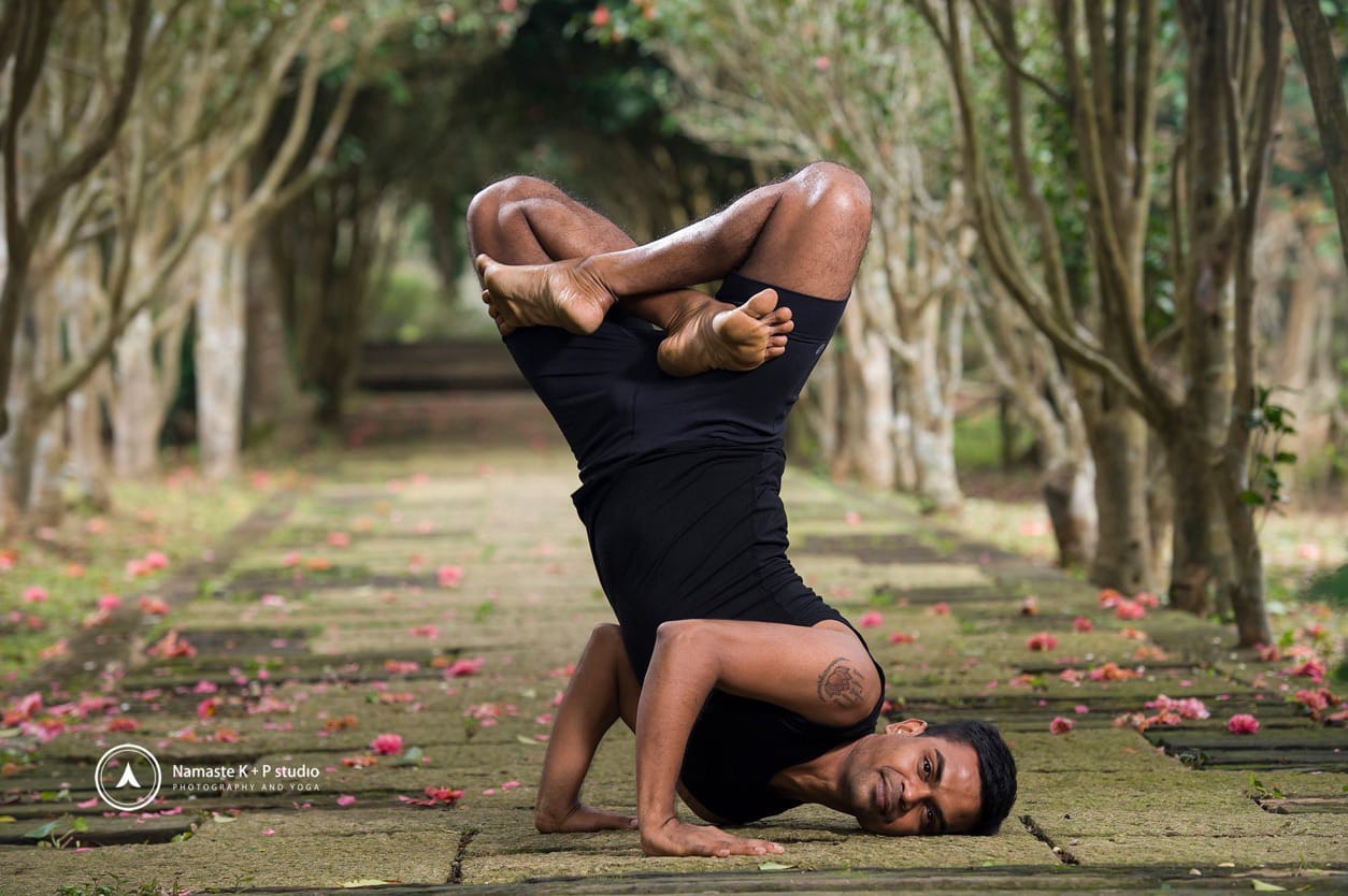 Gallery | Omochi Yoga and Wellness